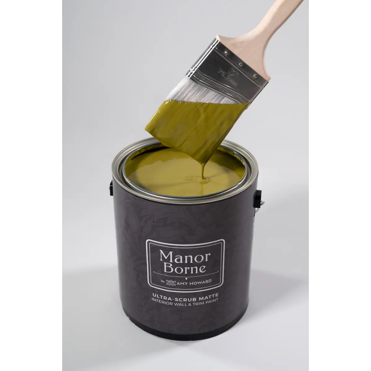 Pickleball Partner - Manor Borne Wall Paint - Amy Howard At Home