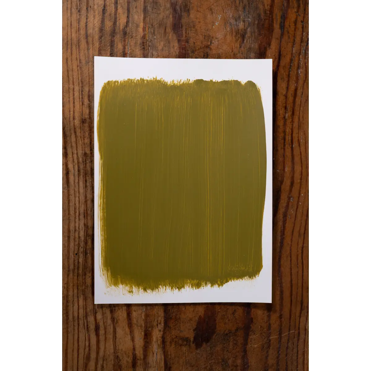 Pickleball Partner - Manor Borne Wall Paint - Amy Howard At Home