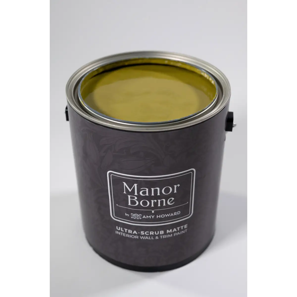 Pickleball Partner - Manor Borne Wall Paint - Amy Howard At Home