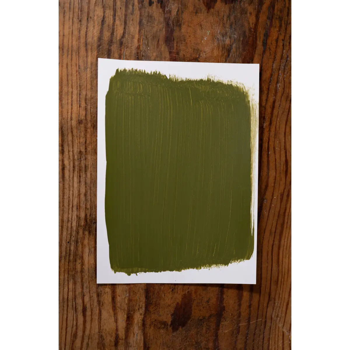Picnic Date - Manor Borne Wall Paint - Amy Howard At Home