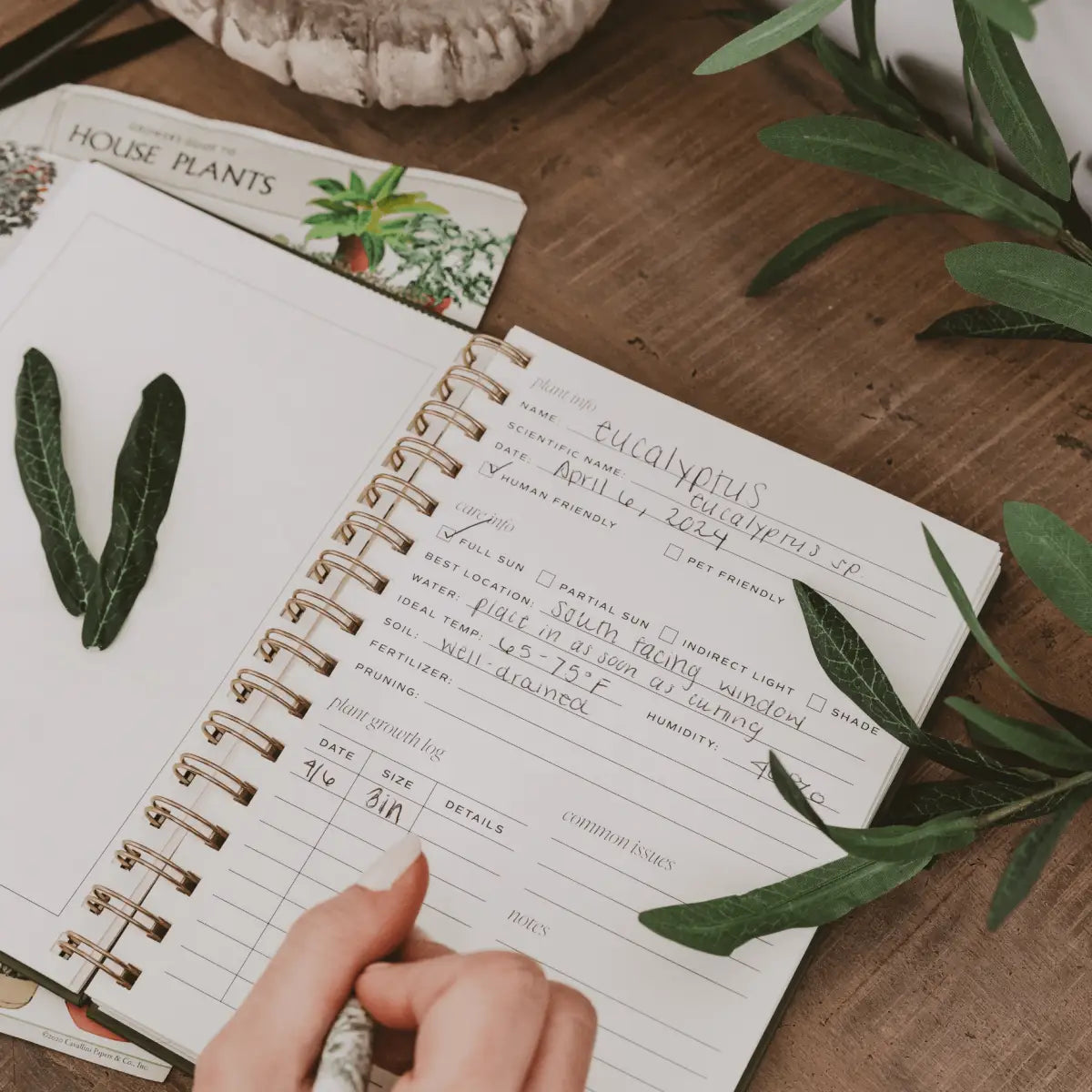 Plant Journal - Sweet Water Decor