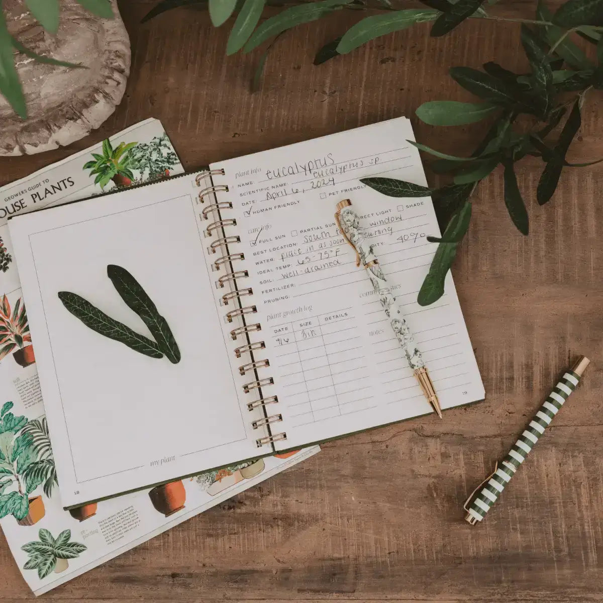 Plant Journal - Sweet Water Decor