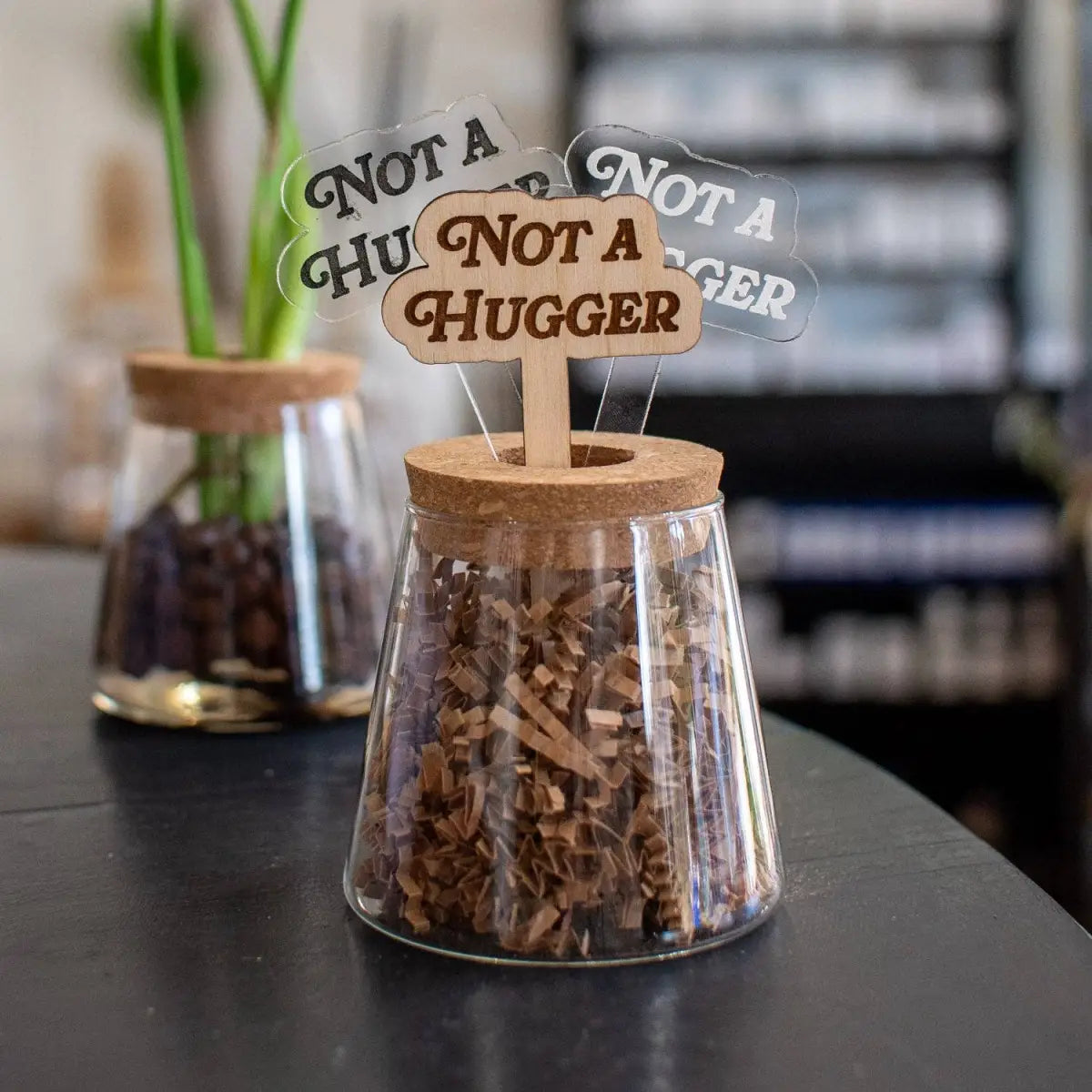 Plant Stake - Not A Hugger - Clear Acrylic / Frosted Engraving - Still Magnolia