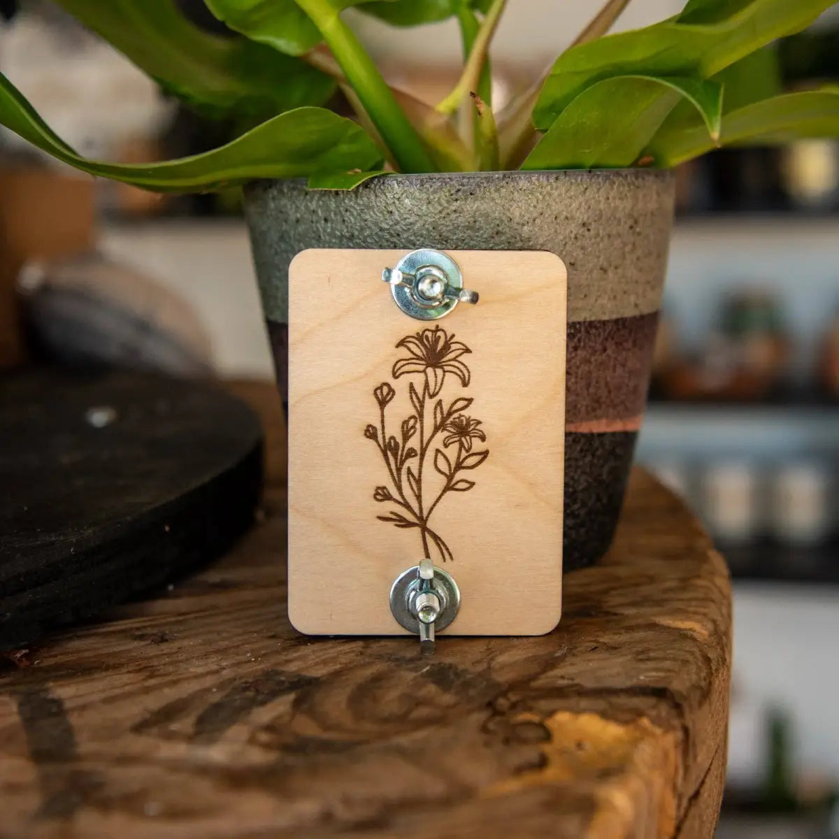 Mini Flower Press - Pressed Flower Crafts - Still Magnolia