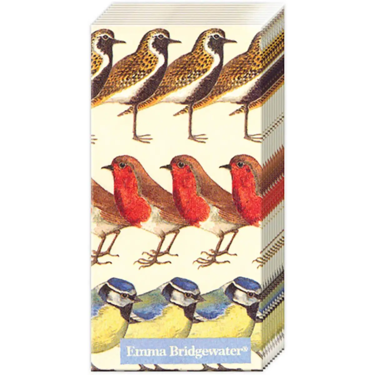 Pocket Tissues Pack / Birds - Boston International