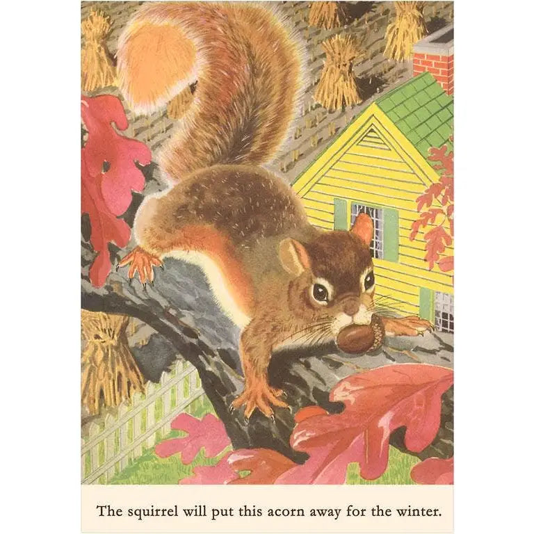 Fall Postcard - Squirrel with Acorn - Found Image Press