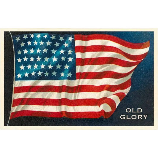 Postcard - Old Glory Flag - Found Image Press