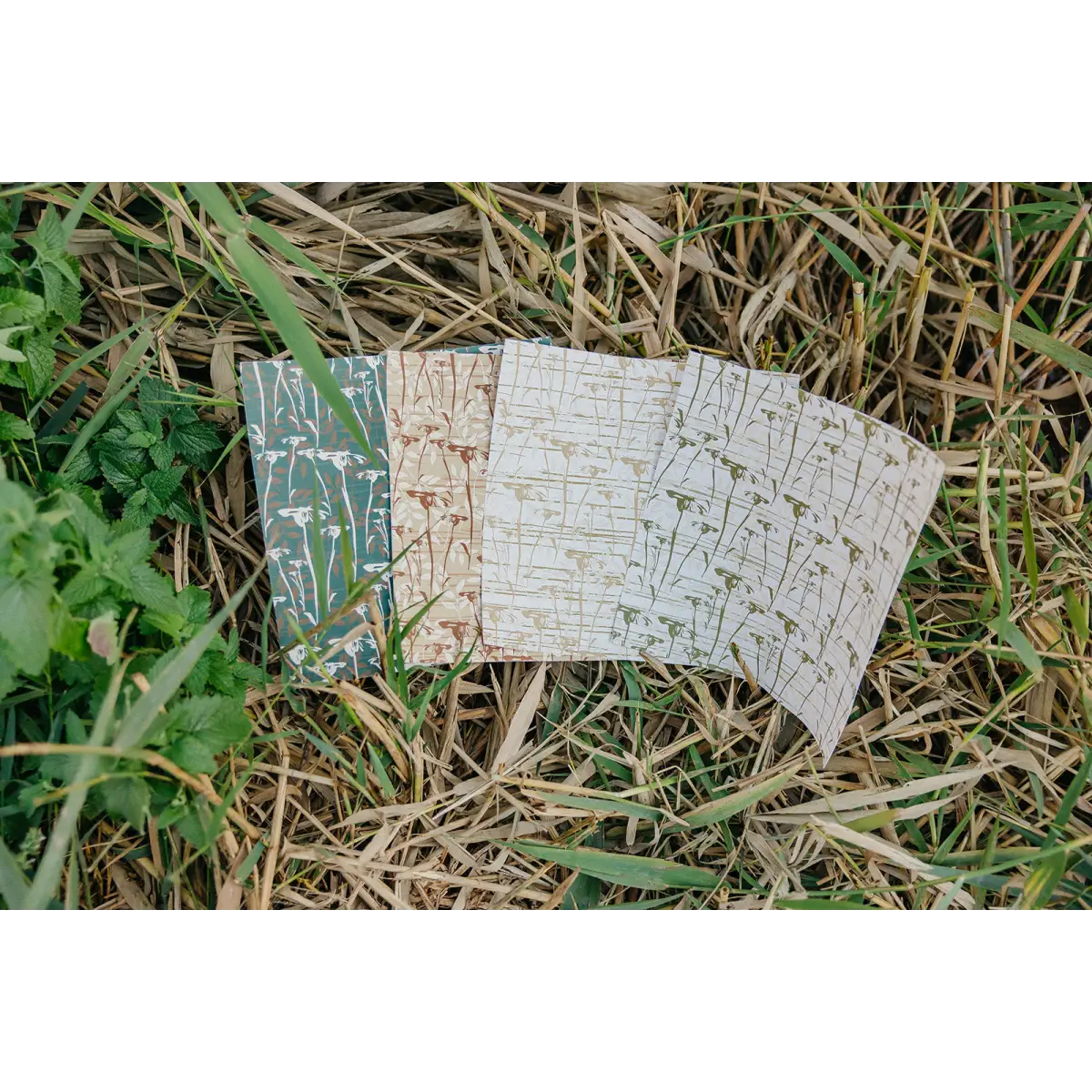 Prairie Wallpaper - Natural Daisies - by Cassandra Zaniboni - Loomwell Home Goods