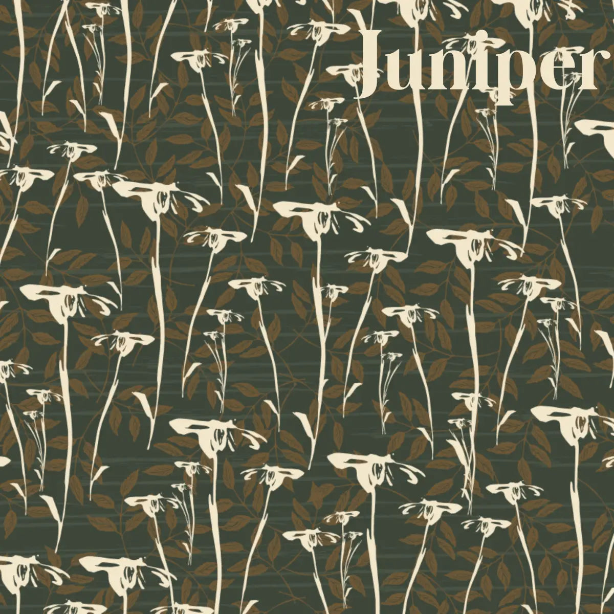 Prairie Wallpaper - Natural Daisies - by Cassandra Zaniboni - Sample 1 foot by 1 foot / Juniper - Loomwell Home Goods