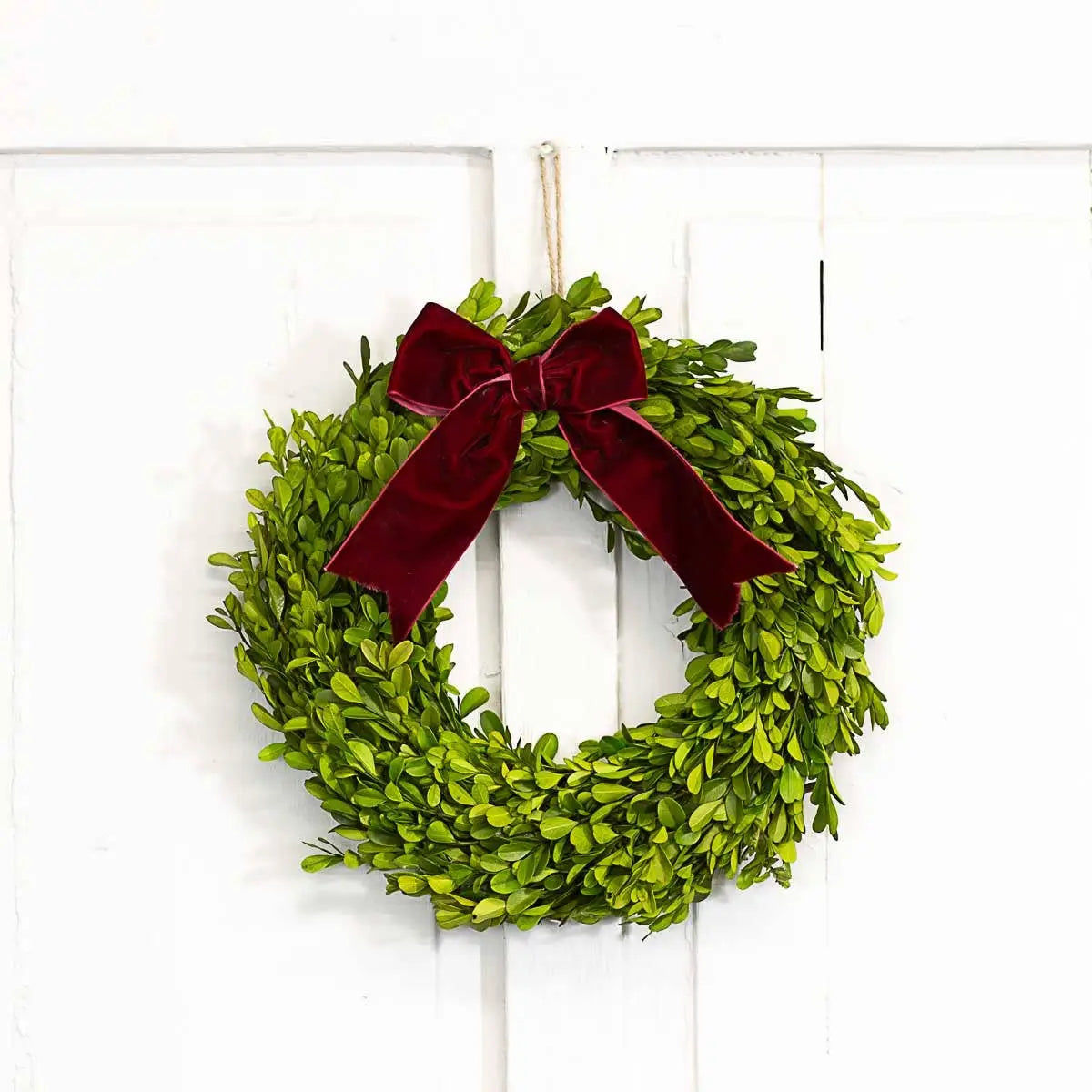 Preserved Boxwood Wreath - The Royal Standard