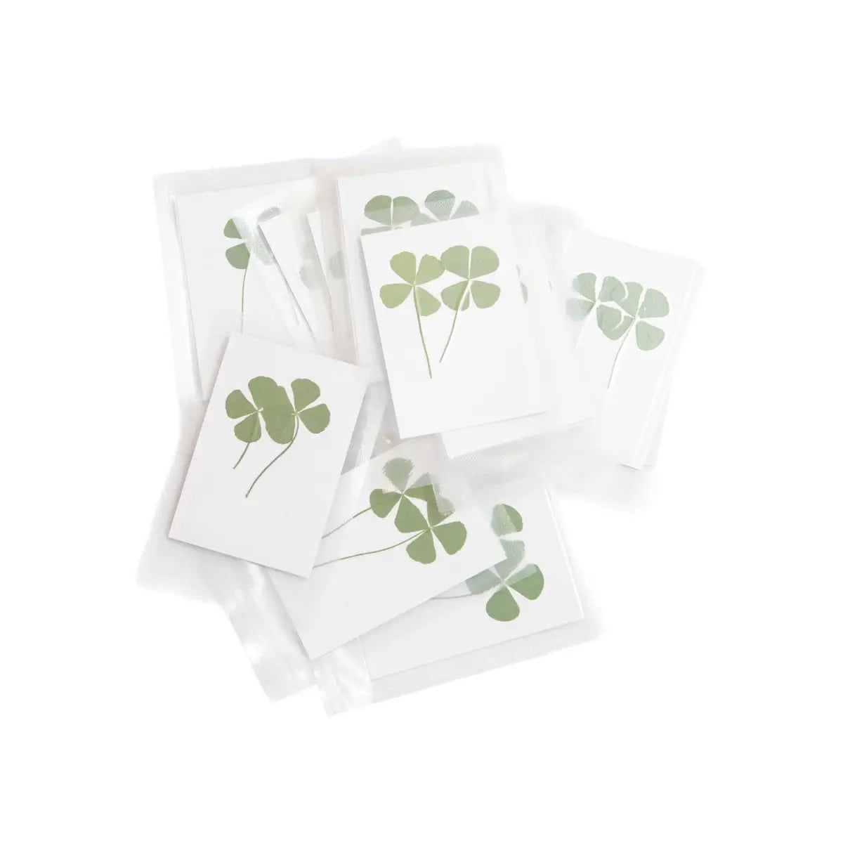 Pressed Four Leaf Clovers - We are the Luckiest - Sugarboo &