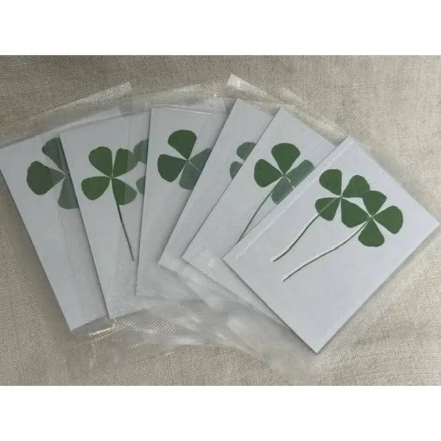Pressed Four Leaf Clovers - We are the Luckiest - Sugarboo &