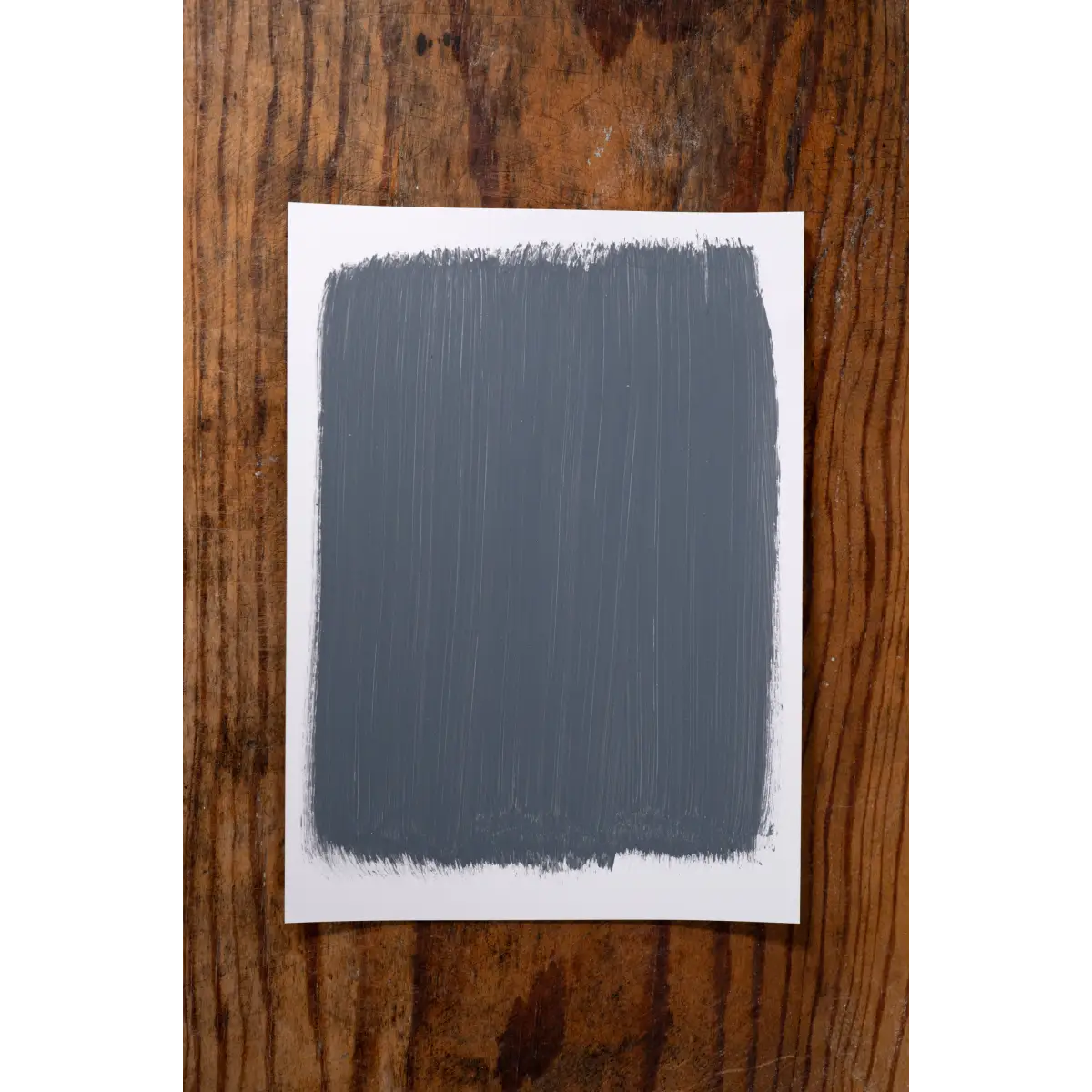 In My Prime - Manor Borne Wall Paint - Amy Howard At Home