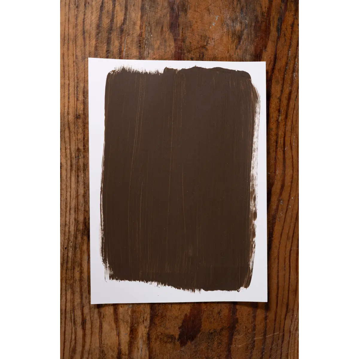 Proof in the Pudding - Manor Borne Wall Paint - Amy Howard At Home