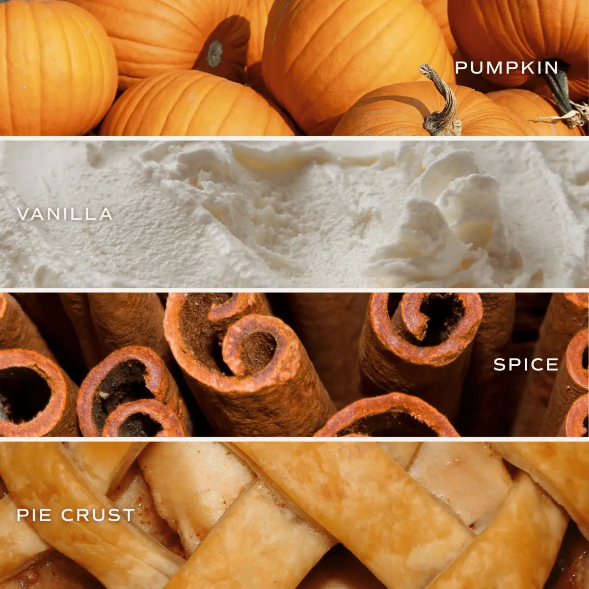 Pumpkin Pie Soy Candle - Orange Matte Jar - 15 oz (Hello Pumpkin) - Sweet Water Decor
