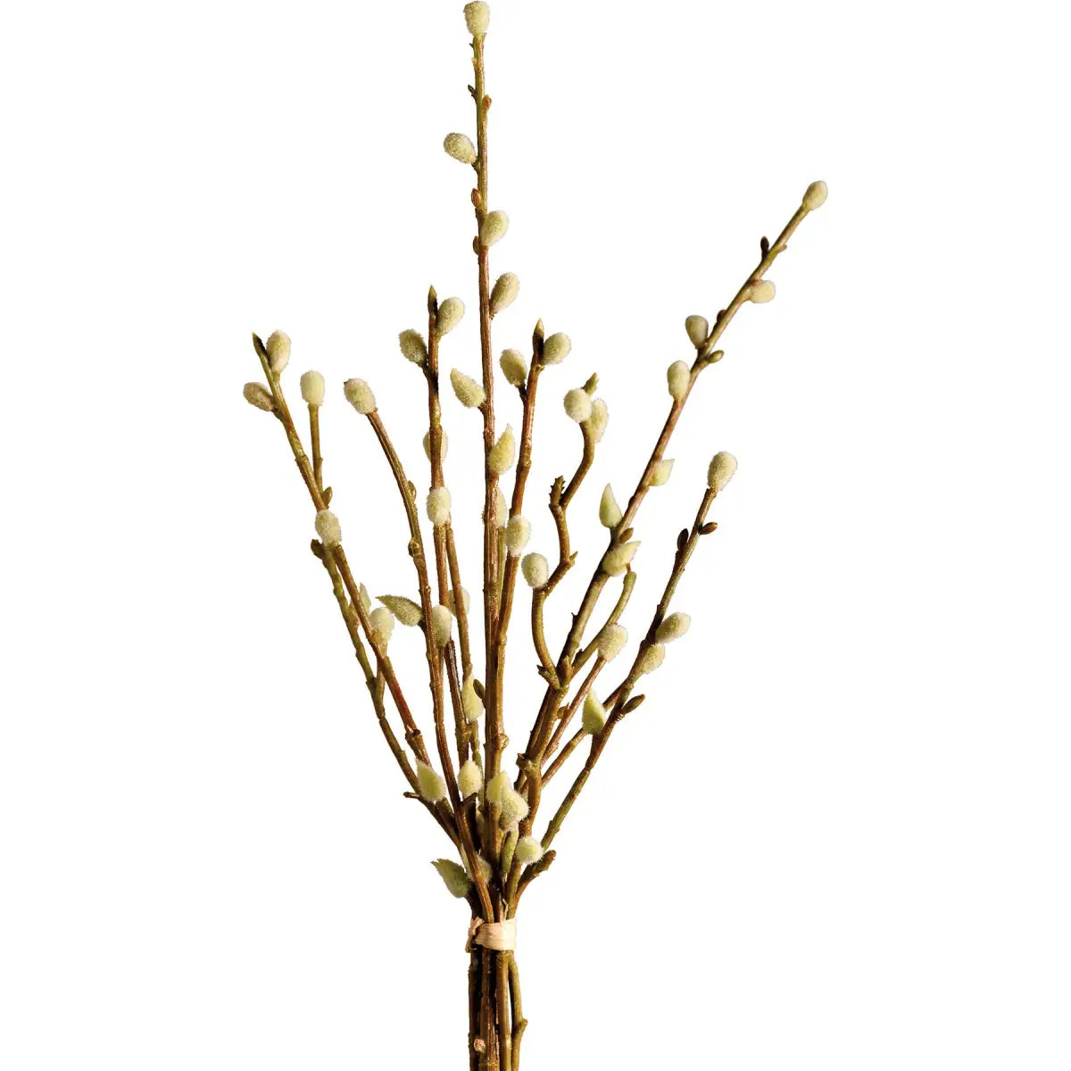 Pussy Willow Bouquet - Primitives by Kathy