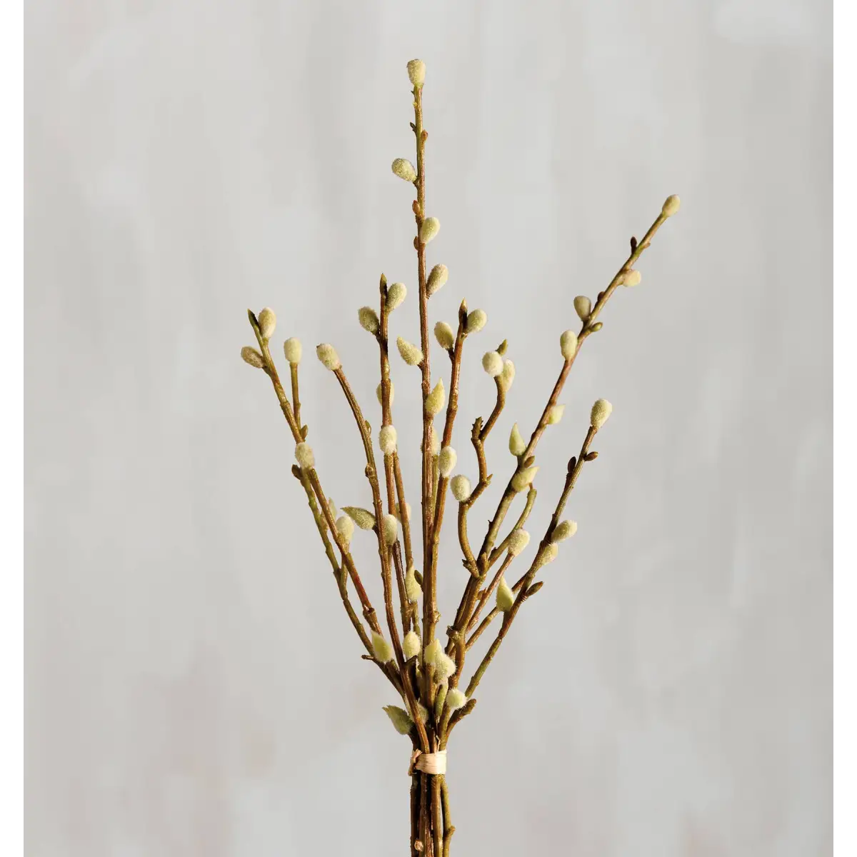 Pussy Willow Bouquet - Primitives by Kathy