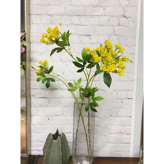 Queen Anne’s Lace Wildflower Stem 27’’ - Yellow - Angel Isabella