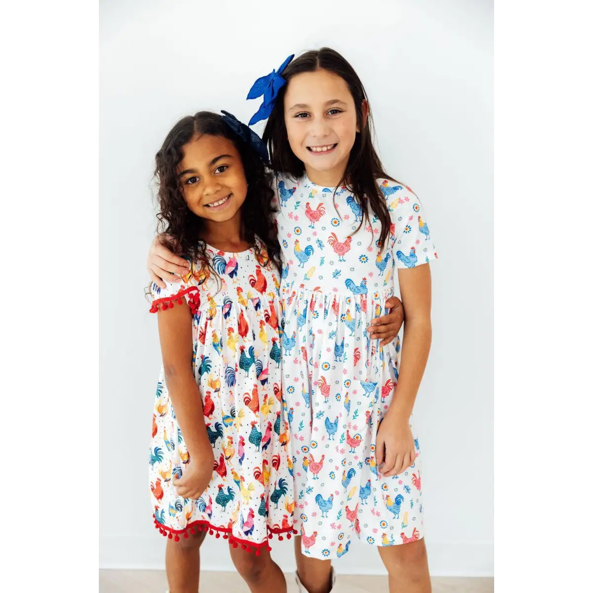 Rainbow Roosters S/S Pocket Twirl Dress - Mila & Rose ®