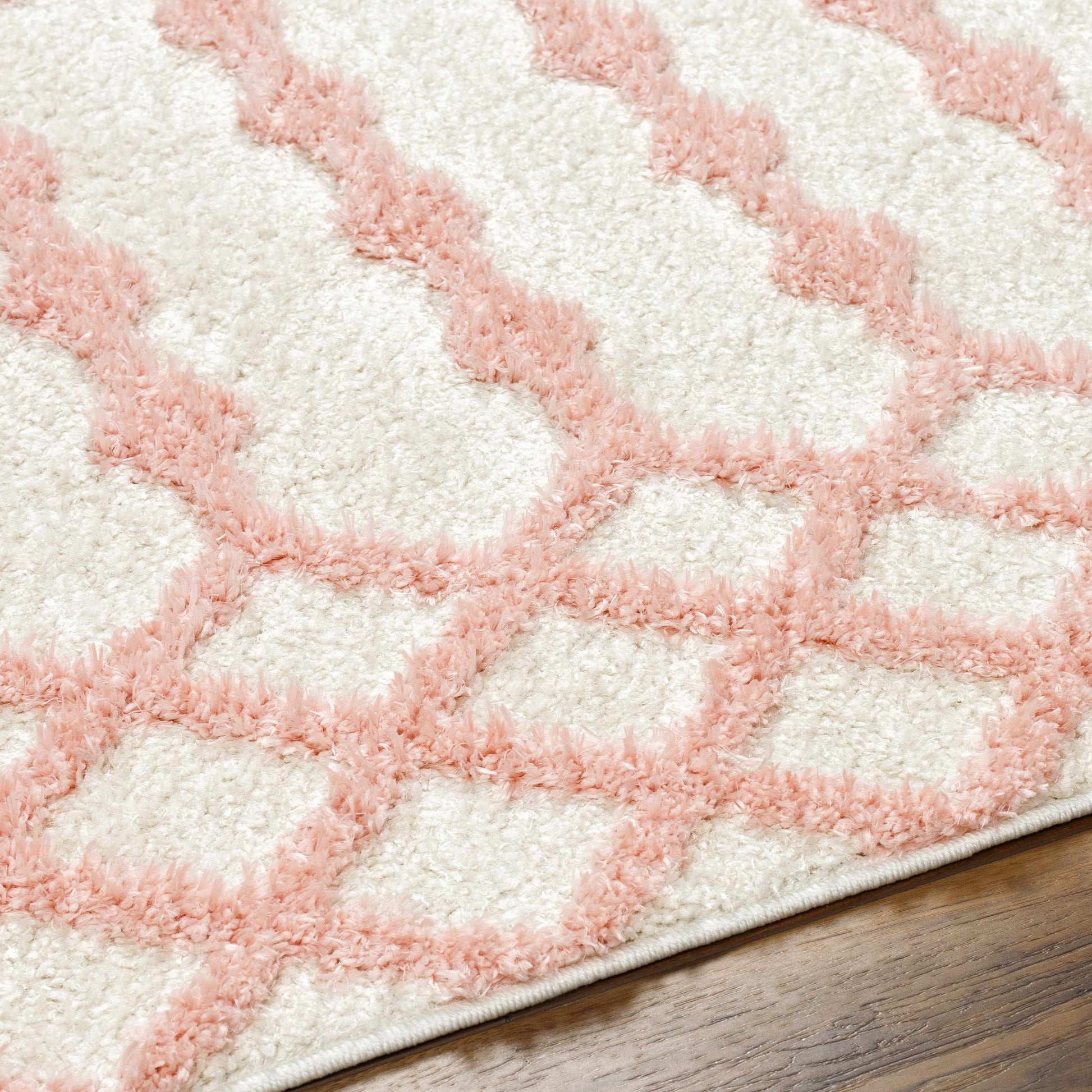 Darva Pink Plush Area Carpet - Boutique Rugs