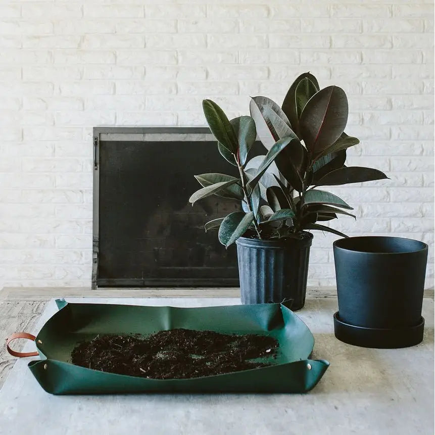 Repotting Mat - Eco-Friendly Plant Care - House Plant Shop
