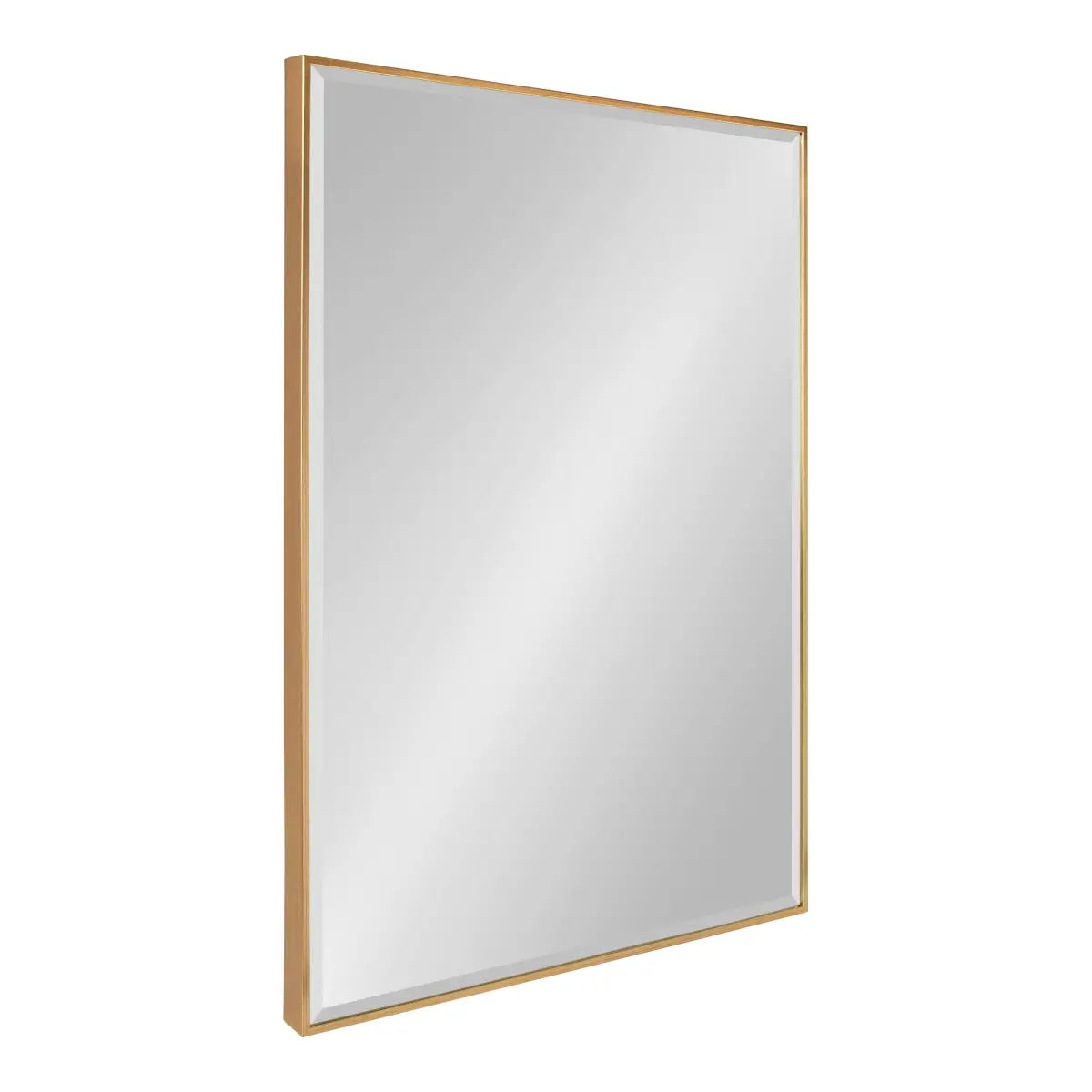 Rhodes Framed Wall Mirror - Gold / 24.75x36.75 - kateandlaurel
