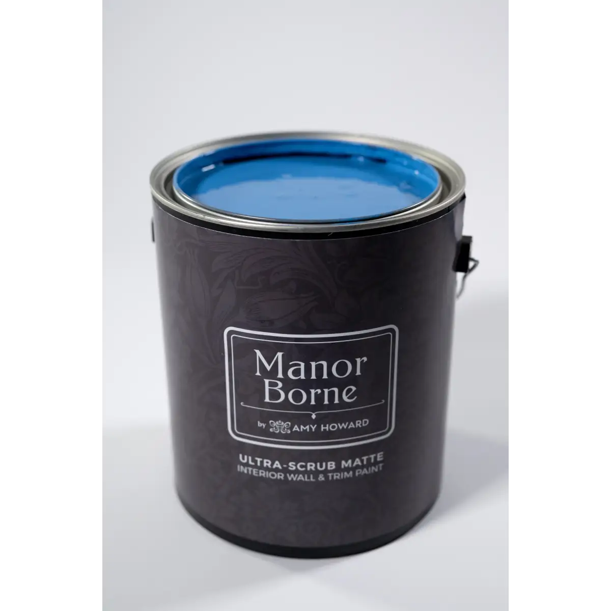 Rise and Shine - Manor Borne Wall Paint - Amy Howard At Home