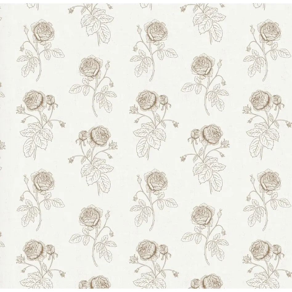 Rosalie Wallpaper - Rose Line Drawings - by Brittany Polatis Design - Sample 1 foot by 1 foot / Brown - Loomwell Home