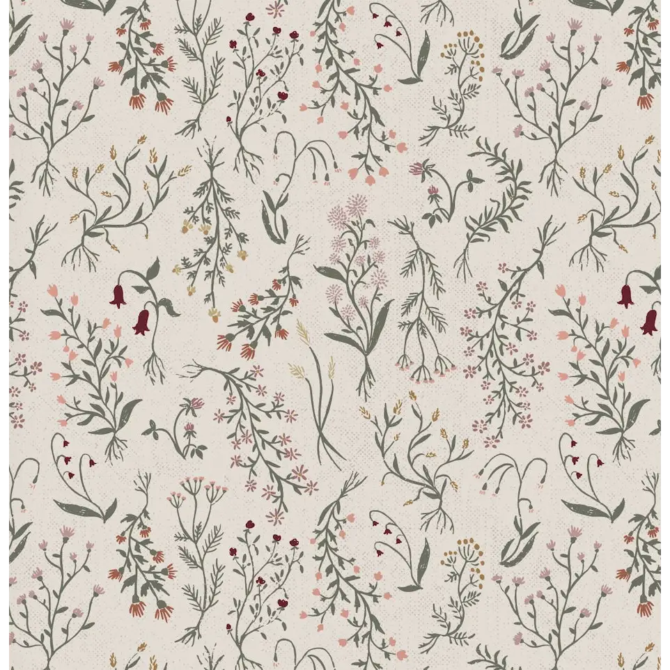 Roscoe Wallpaper - Wildflower Specimens - by Brittany Polatis Design - Sample 1 foot by 1 foot / Cream - Loomwell Home
