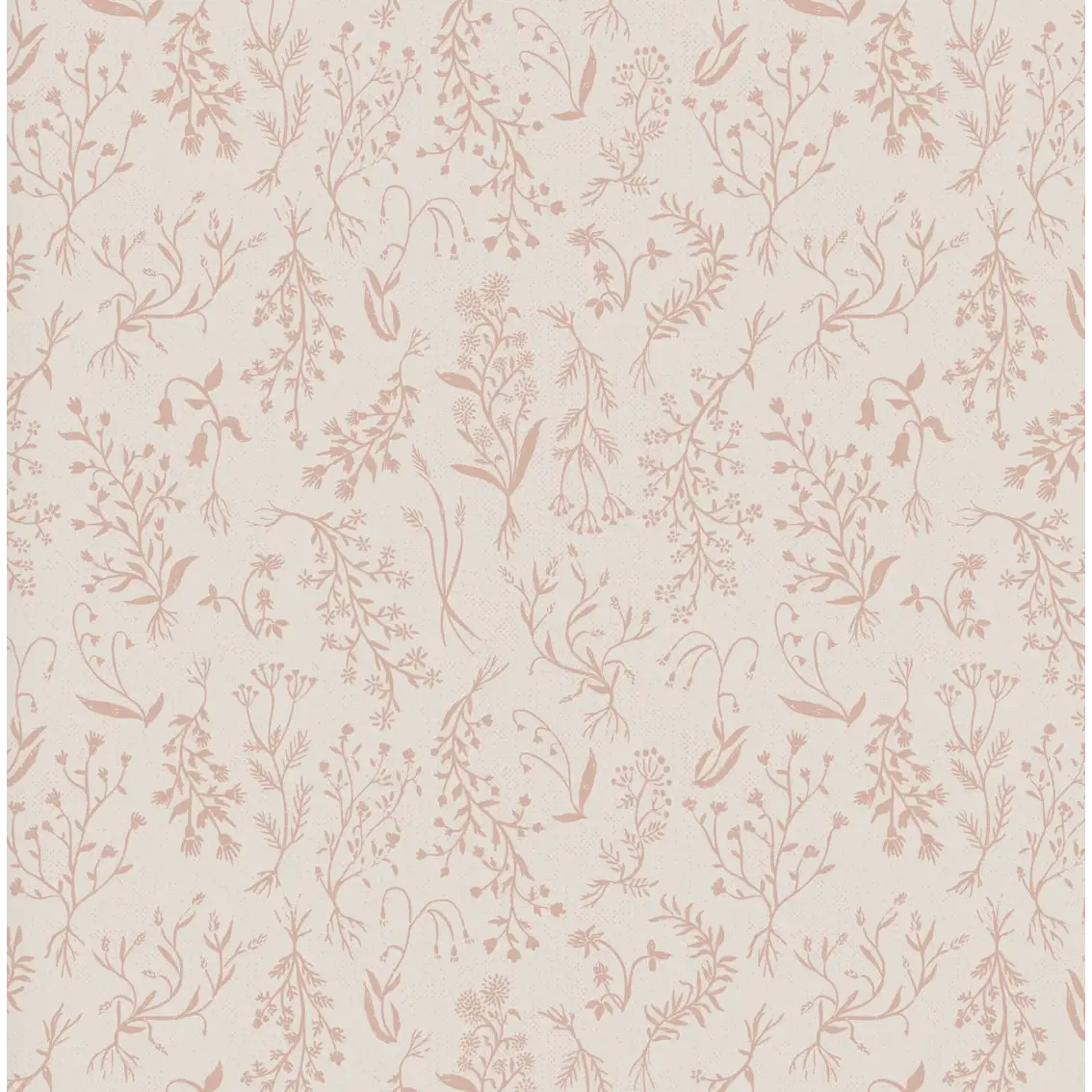 Roscoe Wallpaper - Wildflower Specimens - by Brittany Polatis Design - Sample 1 foot by 1 foot / Blush - Loomwell Home