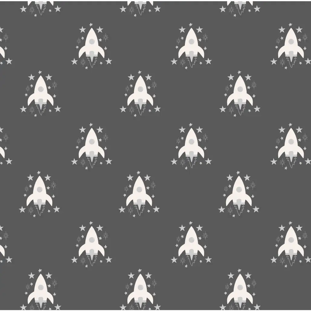 Ryan Wallpaper - Rocket Spaceship - by Antonela Fulir - Sample 1 foot by 1 foot / Charcoal - Loomwell Home Goods