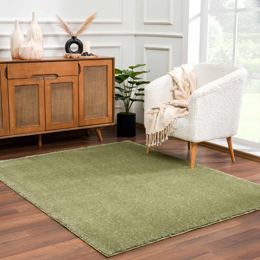 Heavenly Solid Green Plush Rug - Clearance - Boutique Rugs