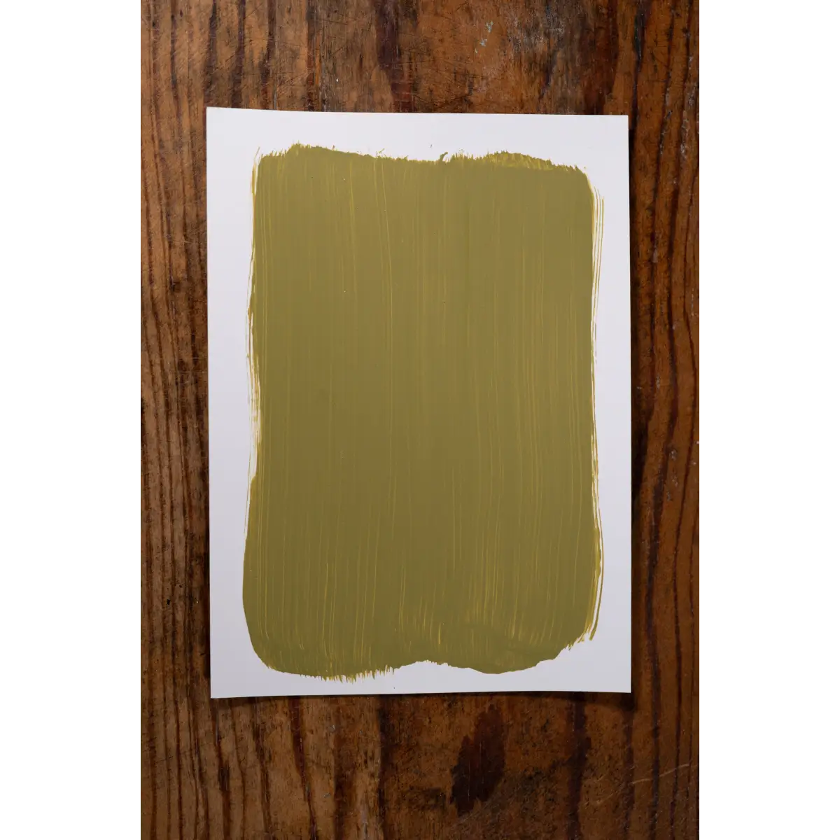 Safari Sunrise - Manor Borne Wall Paint - Amy Howard At Home