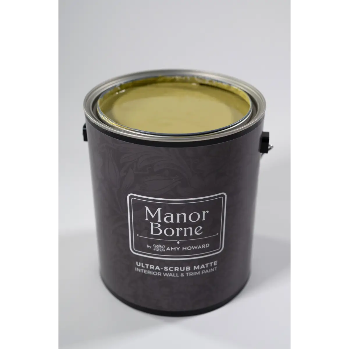 Safari Sunrise - Manor Borne Wall Paint - Amy Howard At Home