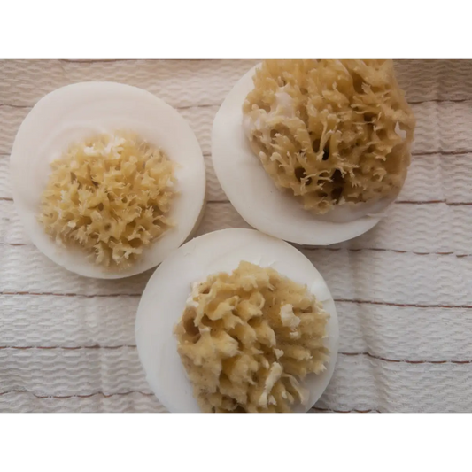 Sea Sponge Soap Bar - Salt & Sea - Handmade Natural - The Ash House Soap Studio