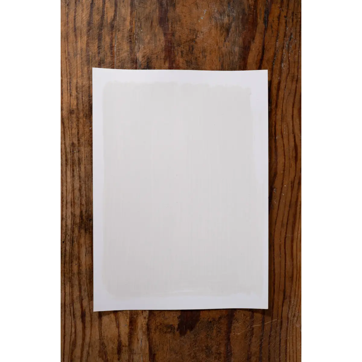 Sand in My Toes - Manor Borne Wall Paint - Amy Howard At Home