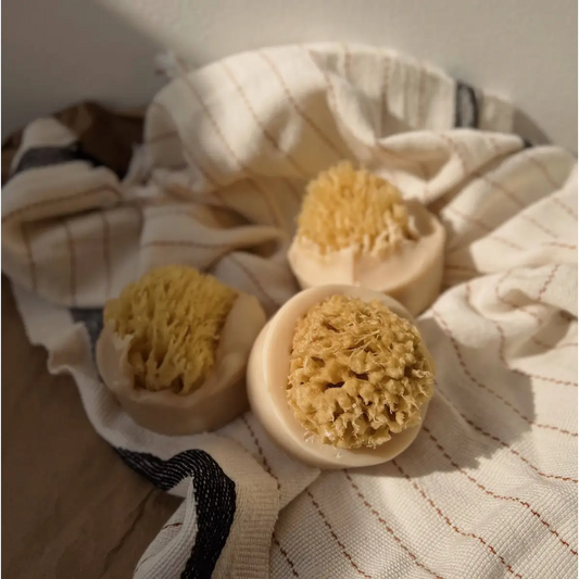 Sea Sponge Soap Bar - Santal Beach Coconut Milk - Handmade Natural - The Ash House Soap Studio