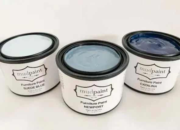 Suede Blue Paint in Center container