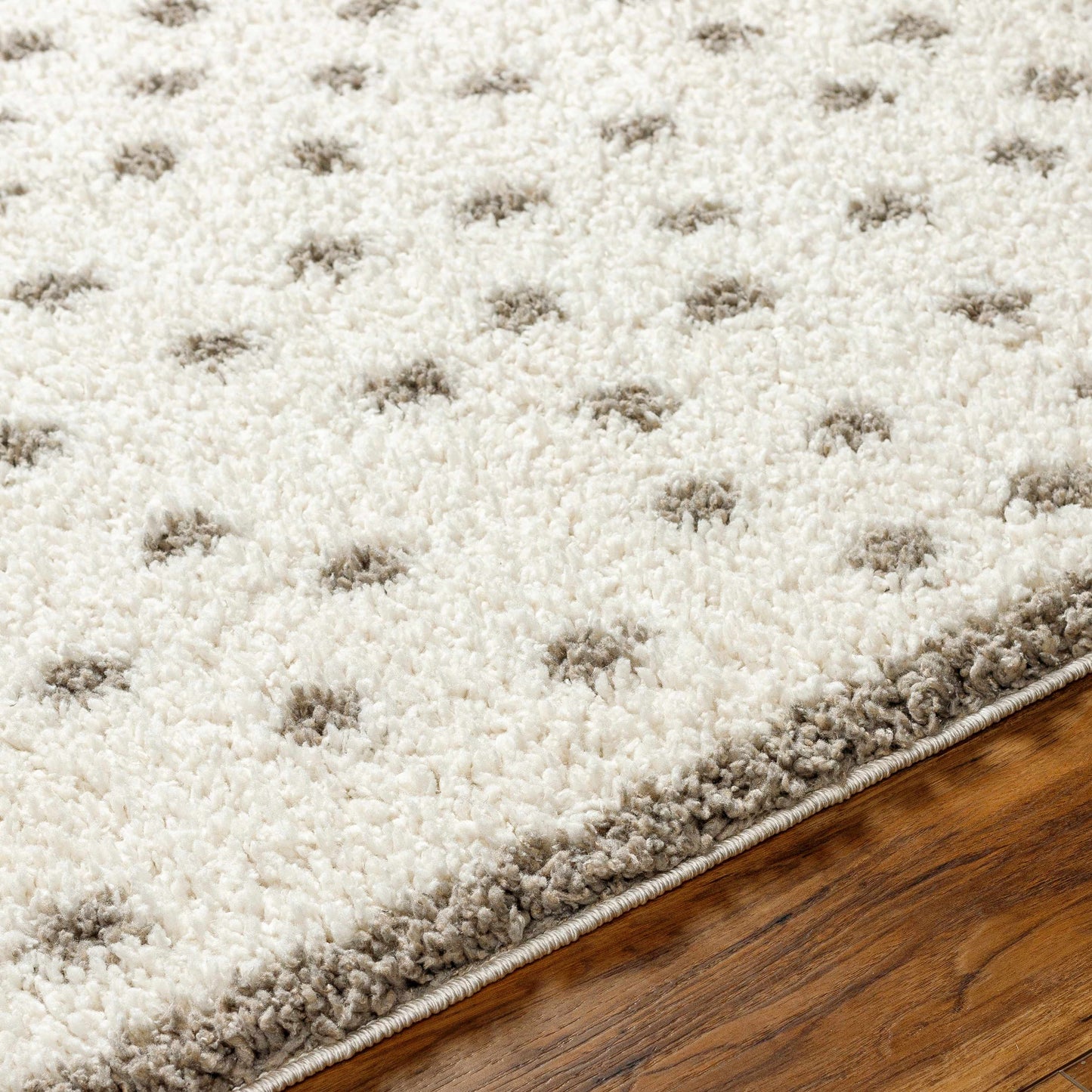 Chaia Dotted Cream & Gray Plush Rug