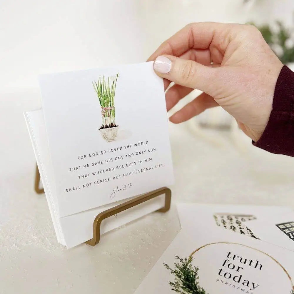 Scripture Cards - Christmas Truth for Today - emily lex studio