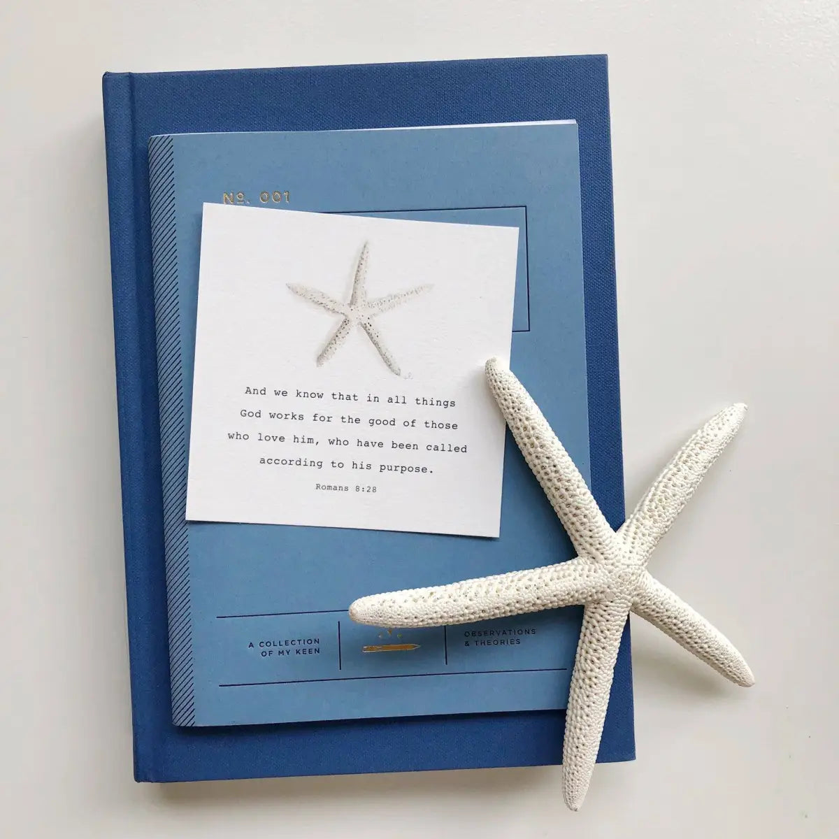 Scripture Cards - Kids Truth for Today - emily lex studio
