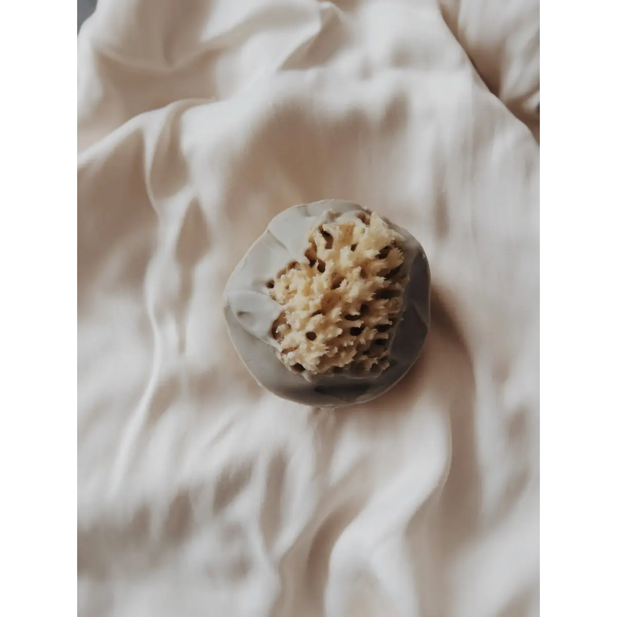 Sea Sponge Soap Bar - Sea Siren - Handmade Natural - The Ash House Soap Studio