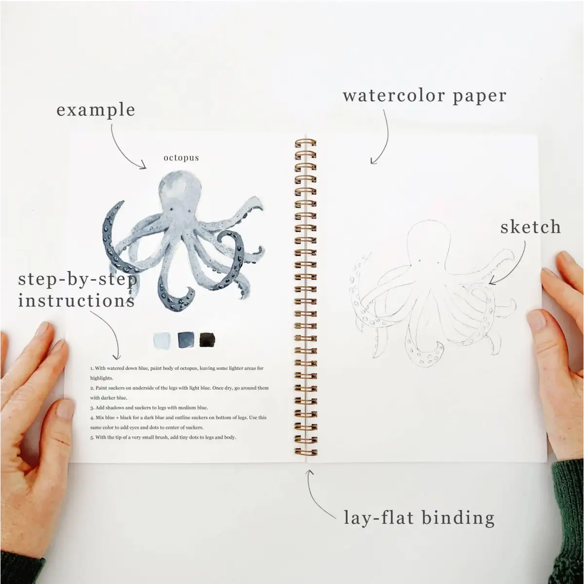 Watercolor Workbook - Seaside - Emily Lex - emily lex studio