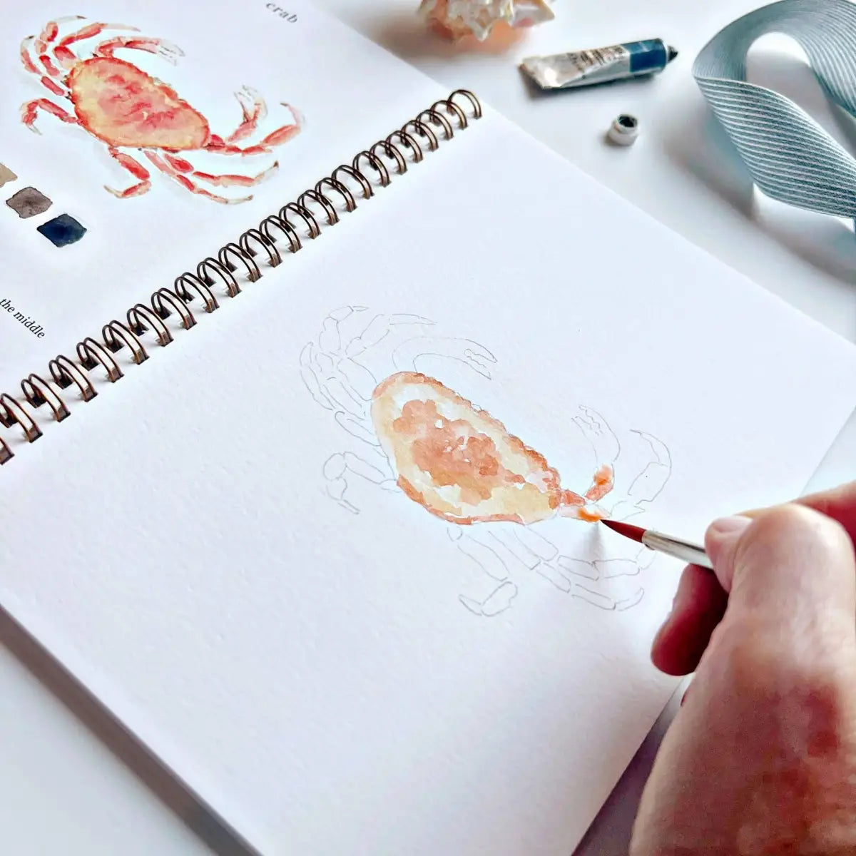Watercolor Workbook - Seaside - Emily Lex - emily lex studio