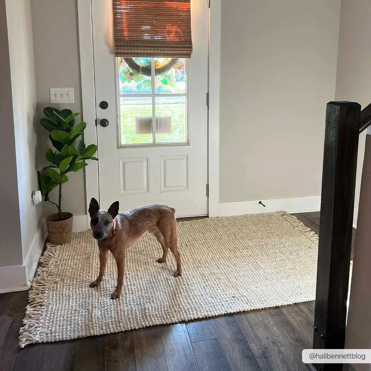 Senneterre Bleached Jute Rug - Boutique Rugs
