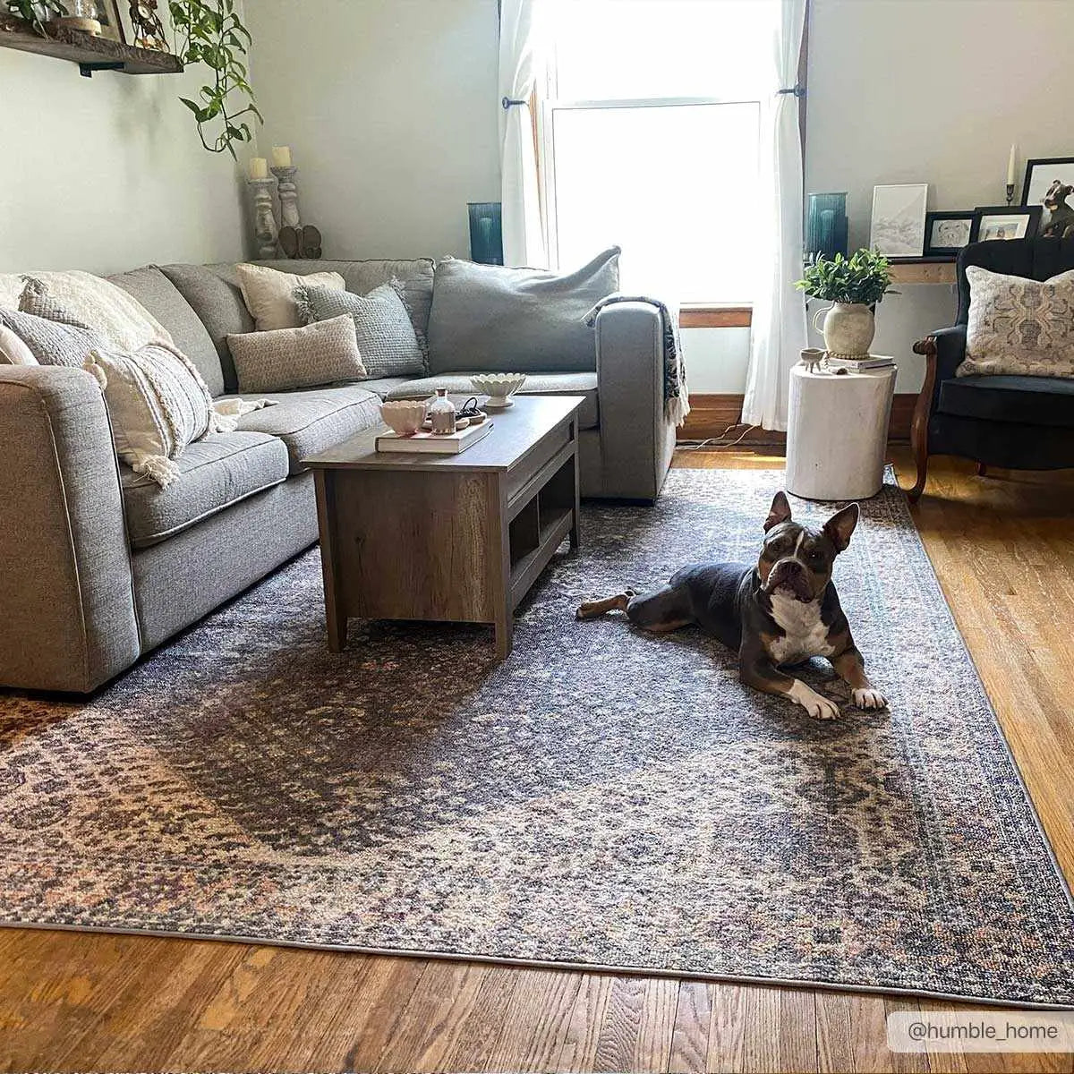 Seok Washable Area Rug - Boutique Rugs