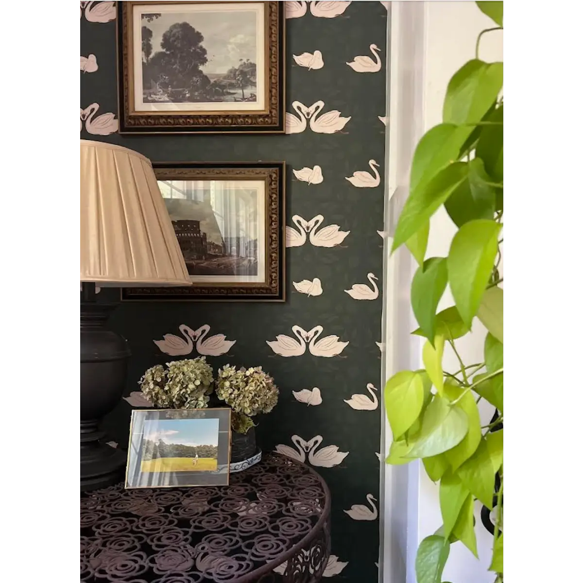 Sevan Wallpaper - Swans - by Cassandra Zaniboni - Loomwell Home Goods