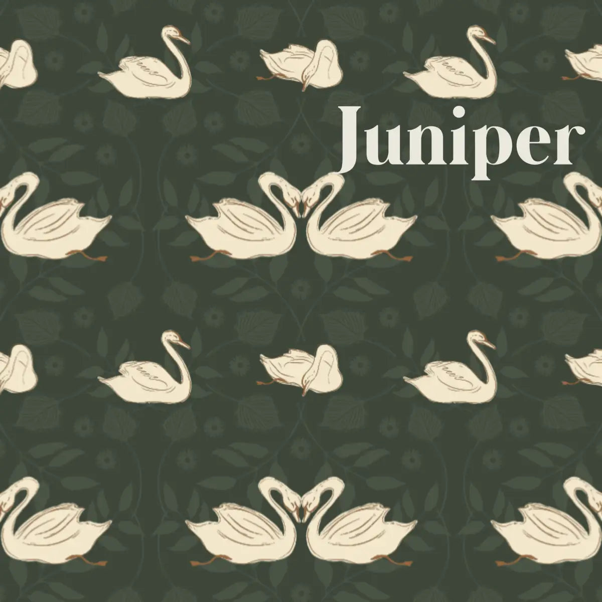 Sevan Wallpaper - Swans - by Cassandra Zaniboni - Sample 1 foot by 1 foot / Juniper - Loomwell Home Goods