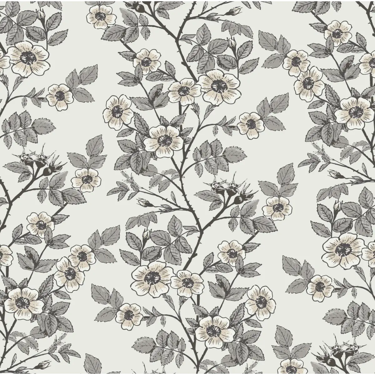 Shia Wallpaper - Watercolor Wild Roses - by Lisee Ree Designs - Sample 1 foot by 1 foot / White - Loomwell Home Goods