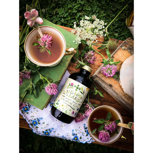 Signature Blend Simple Syrup - Honeysuckle & Clover - Tea - Meadowland Syrup